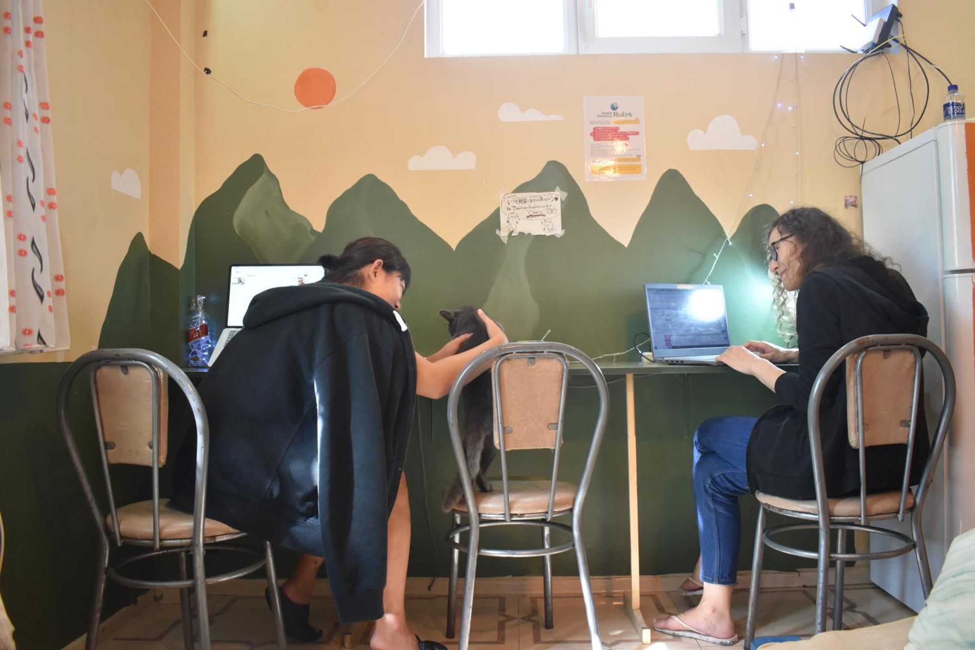 Harmony Backpackers Hostel Batumi Zewnętrze zdjęcie
